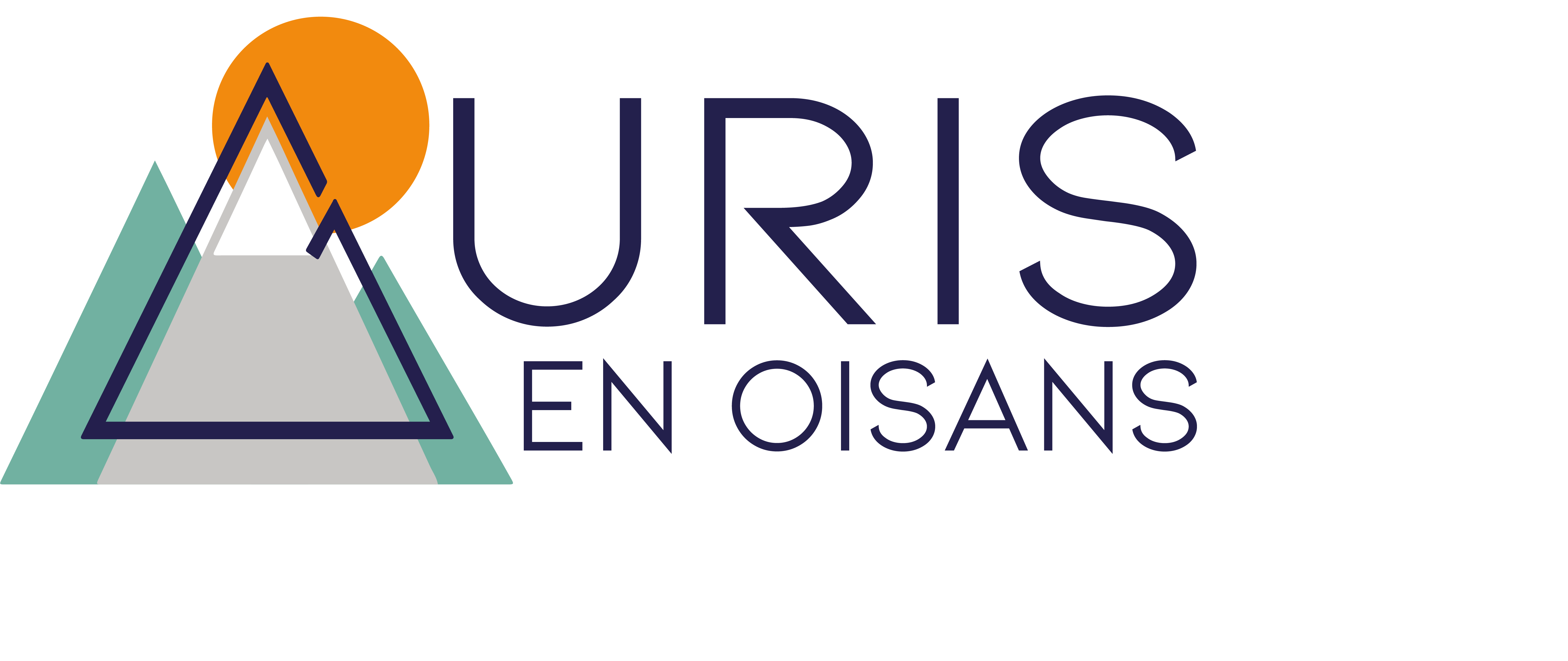 LOGO AURIS COULEUR